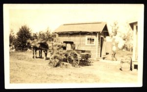 Horse Drawn Carriage