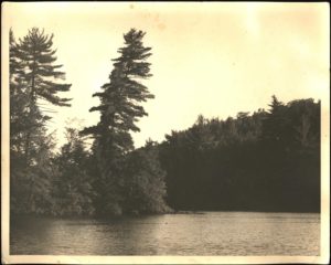  View of White Lake